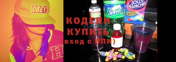 индика Верея