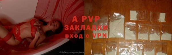 индика Верея
