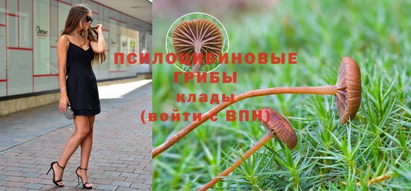 герыч Вяземский