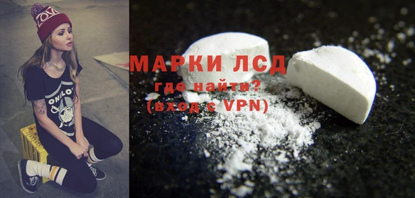 индика Верея