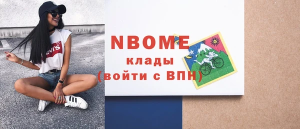 индика Верея