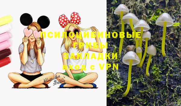 кристаллы Верхний Тагил